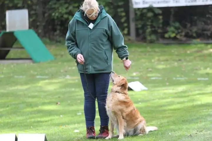 Joluco Teamschmiede Frauen spielen mit einem Hund