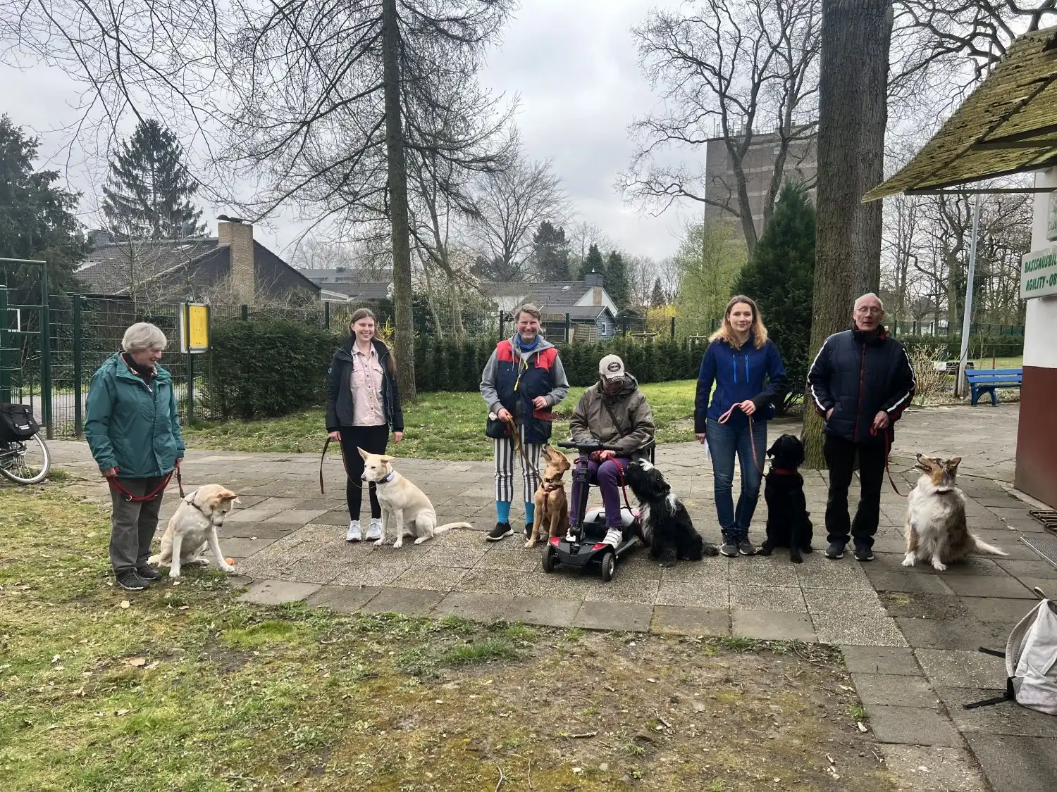 Joluco Teamschmiede mit Hunden