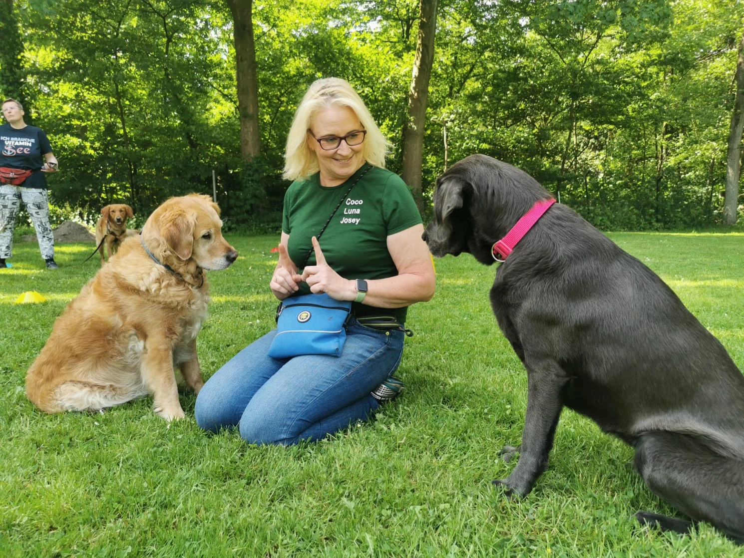 Joluco Teamschmiede Hunde