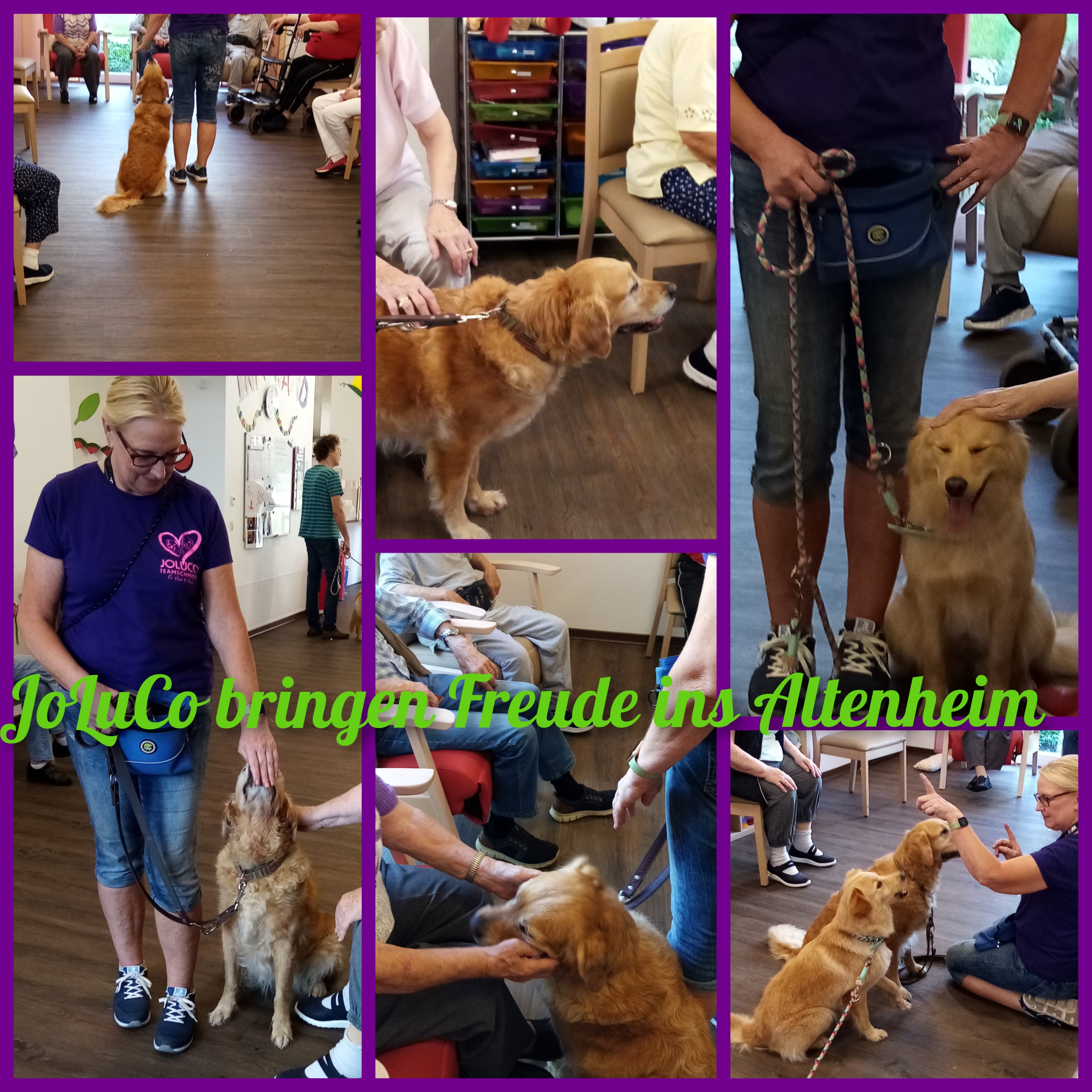 Joluco Teamschmiede Hunde