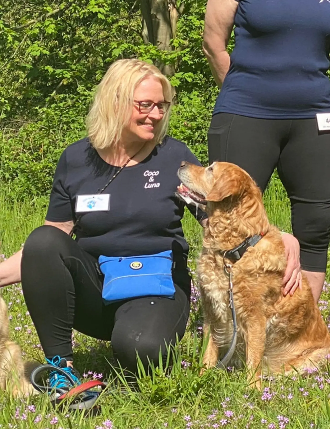 Joluco Teamschmiede mit Hunden