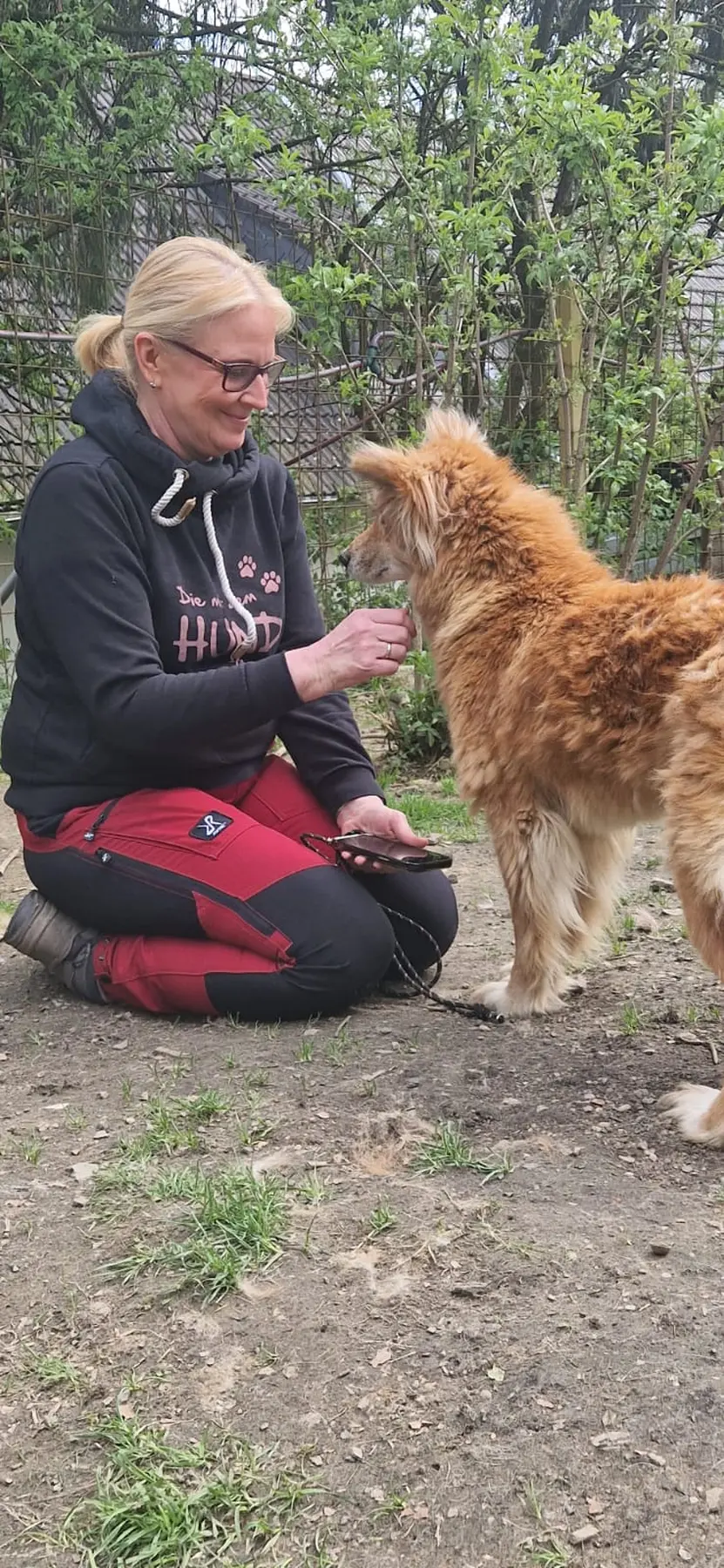 Joluco Teamschmiede spielt mit Hunden