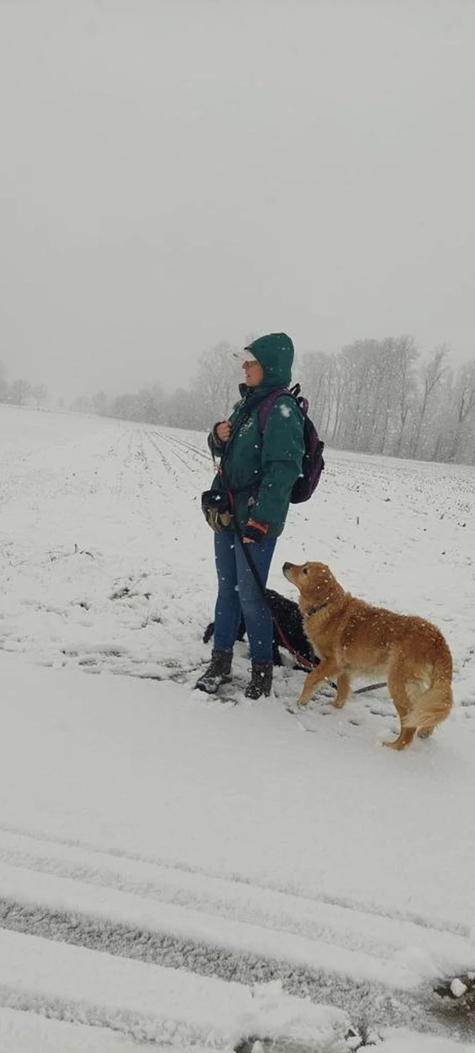 Joluco Teamschmiede Hunde