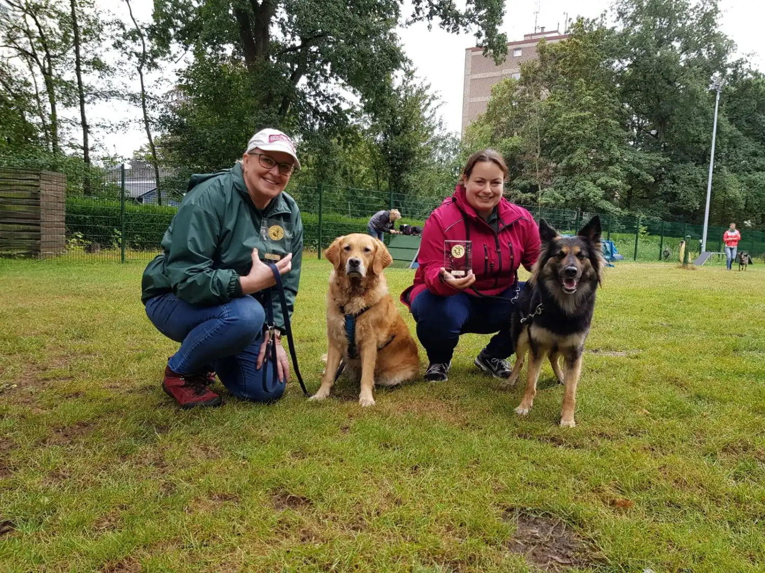 Joluco Teamschmiede mit Hunden